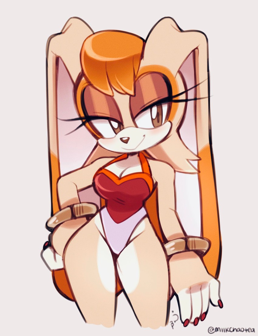 first appearing in Sonic Advance 2. She is a rabbit girl who is the mother ...