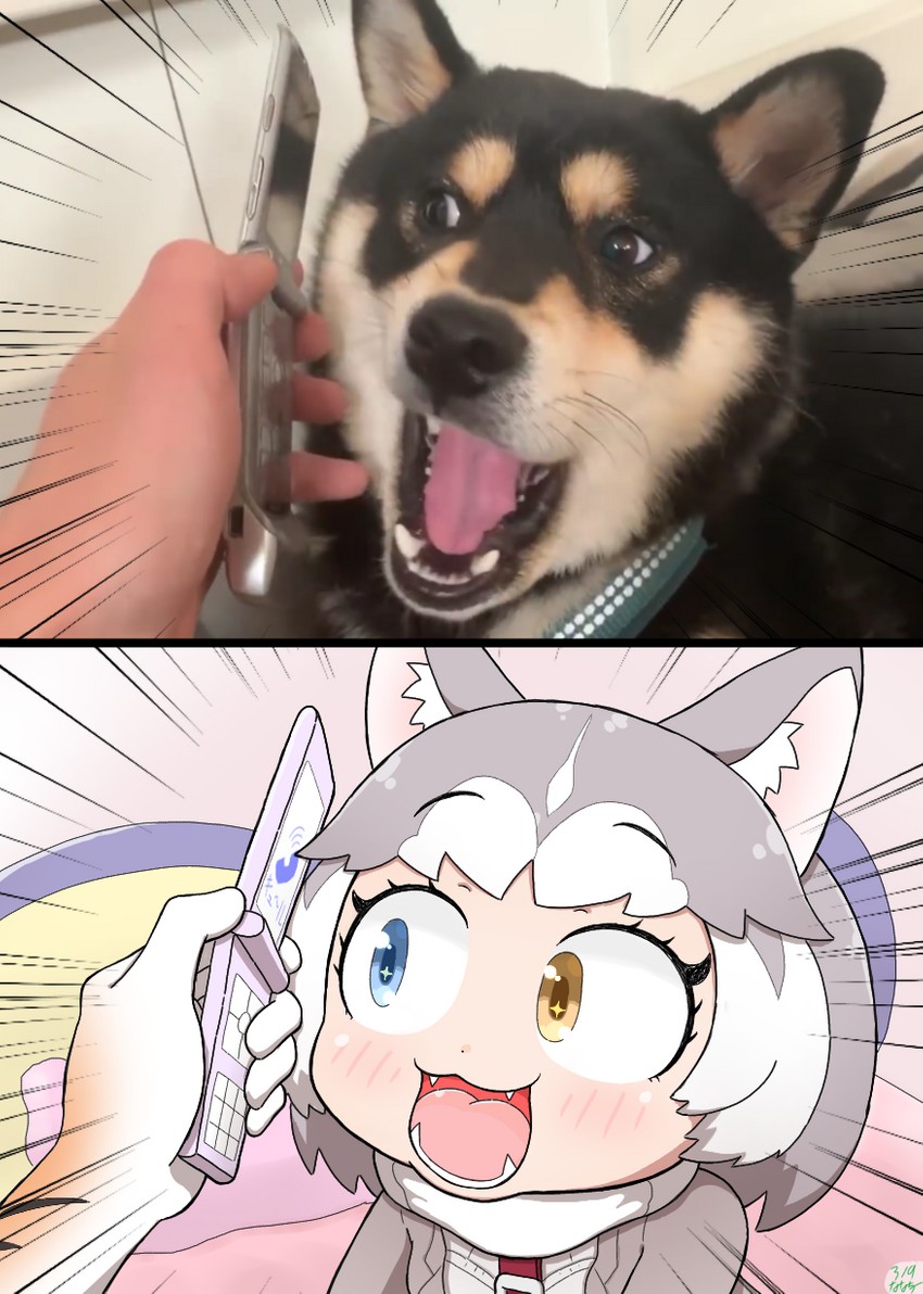 dog and siberian tiger (kemono friends) drawn by nanachii_(nanatidayo)