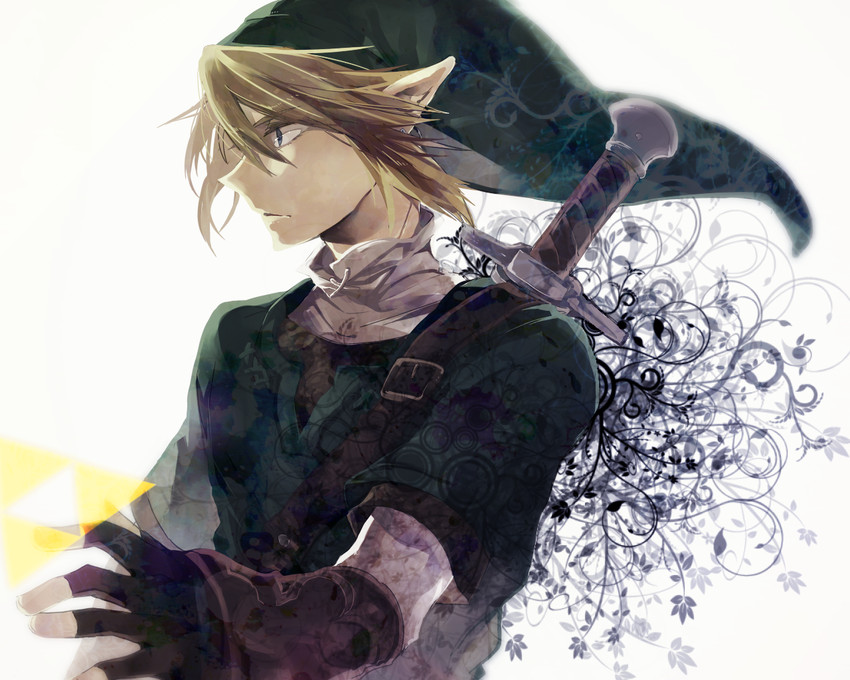 link (the legend of zelda and 1 more) drawn by anko_(kirikiri)