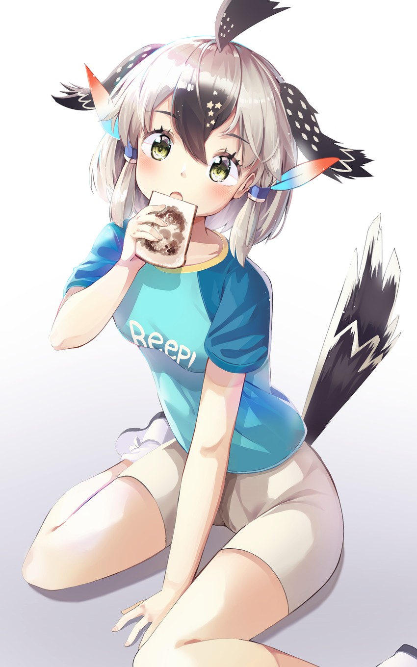 greater roadrunner (kemono friends and 1 more) drawn by animal_ears_(norankkori)