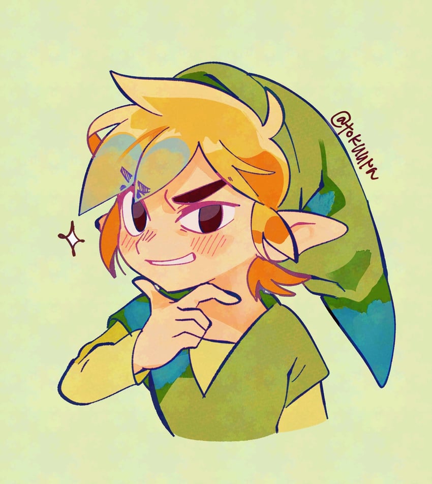 link (the legend of zelda and 1 more) drawn by tokuura