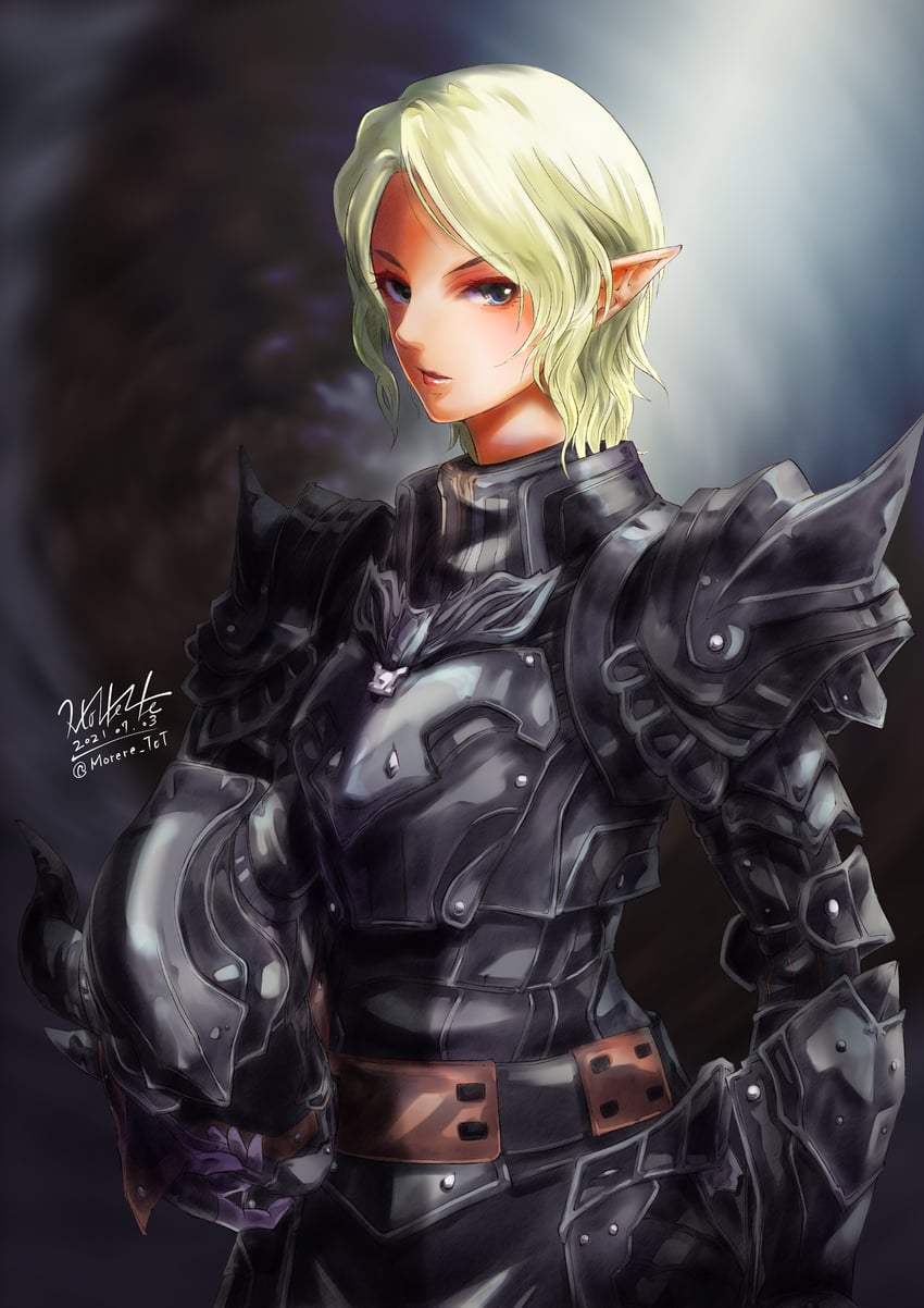 adventurer and dark knight (final fantasy and 1 more) drawn by morere