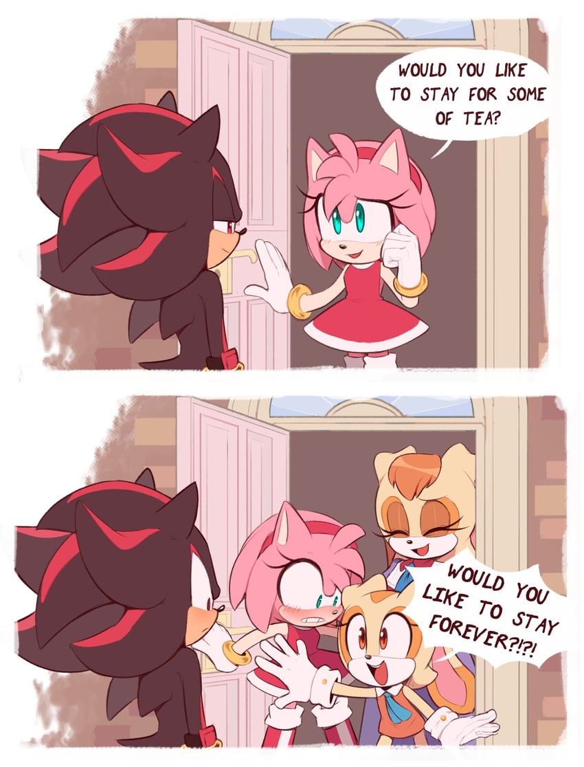shadow the hedgehog, amy rose, cream the rabbit, and vanilla the rabbit (sonic and 1 more) drawn by toonsite