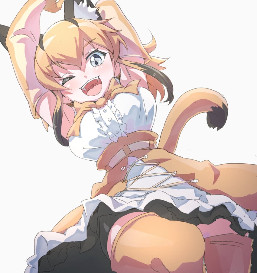 caracal (kemono friends and 1 more) drawn by lowlandgorilla