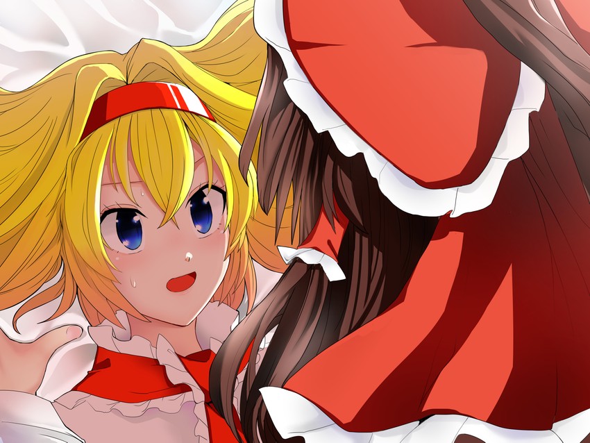 hakurei reimu and alice margatroid (touhou) drawn by sei_(kaien_kien)