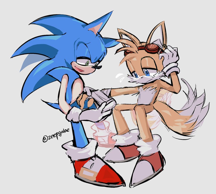 sonic the hedgehog and tails (sonic) drawn by shapam_(zeepgalae)