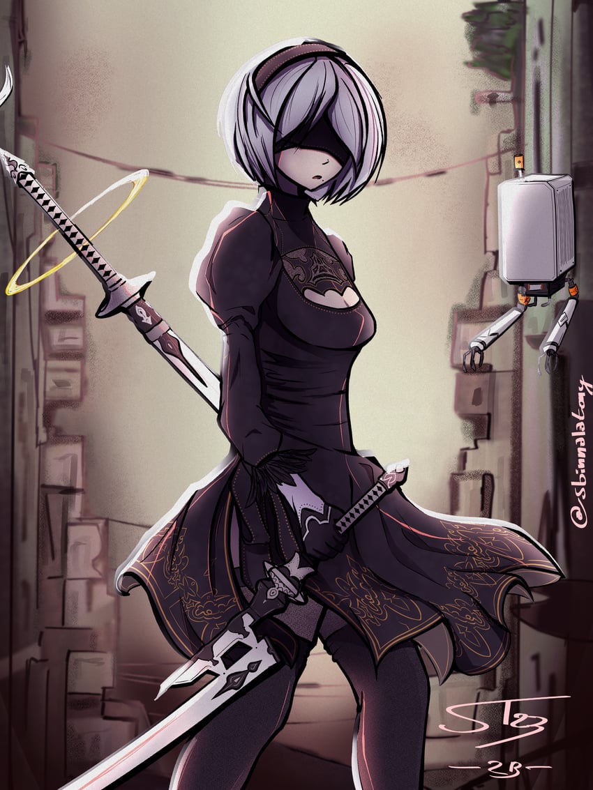2b and pod (nier and 1 more) drawn by sbinnalatony