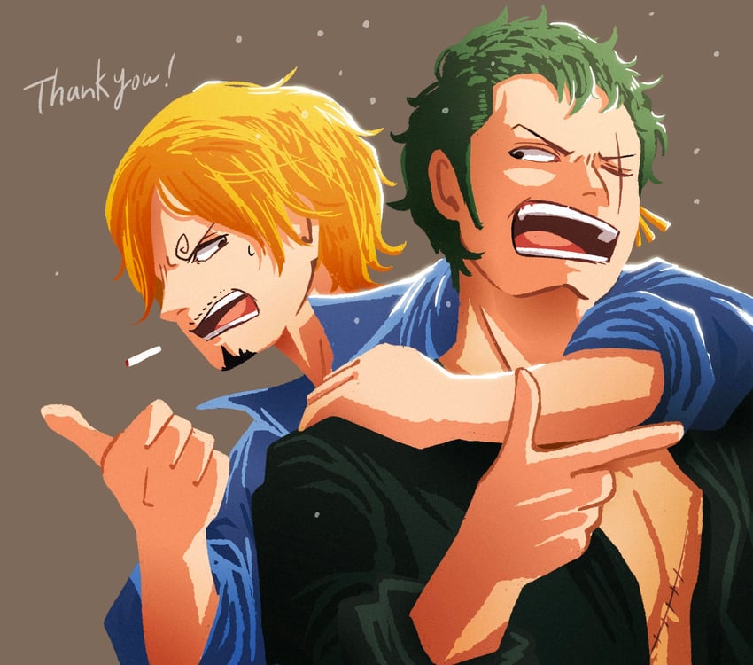 roronoa zoro and sanji (one piece) drawn by doccoi