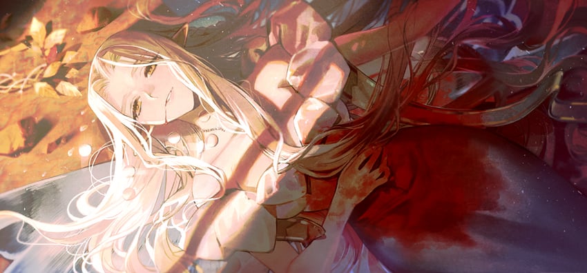 aurora (fate and 1 more) drawn by taa_(acid)
