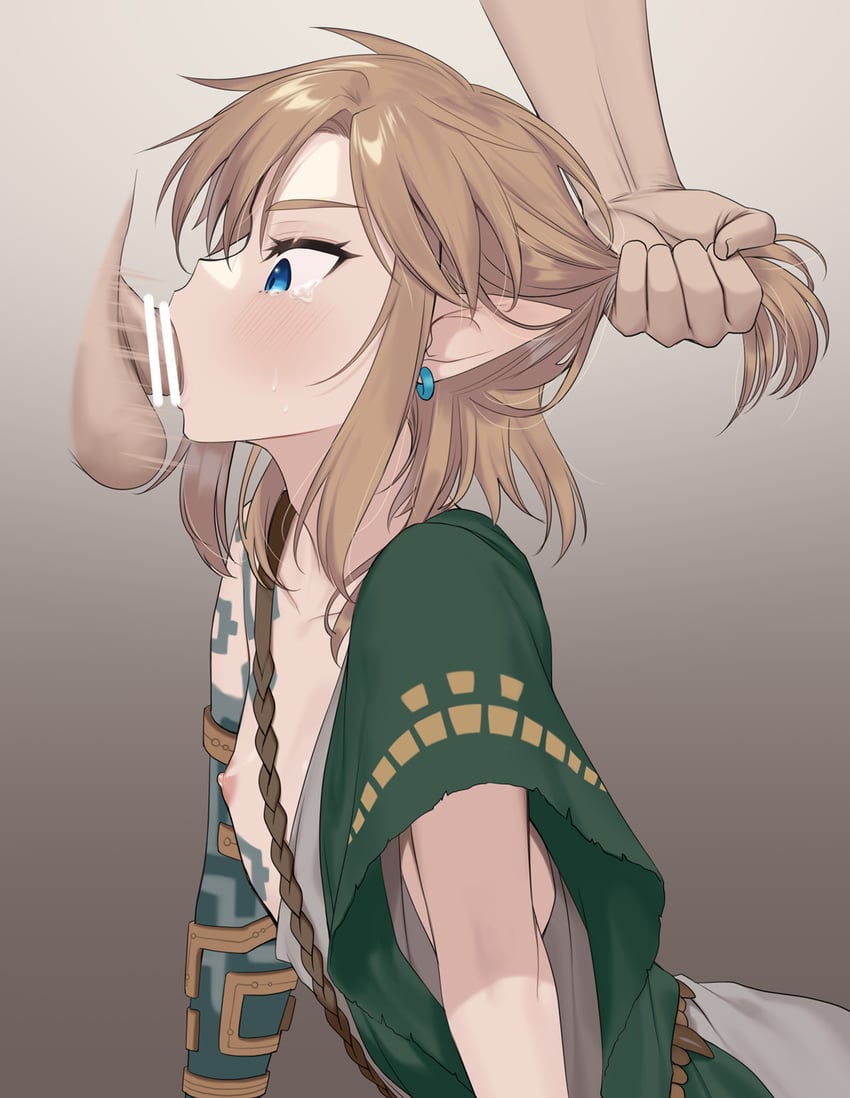 link (the legend of zelda and 1 more) drawn by meimone