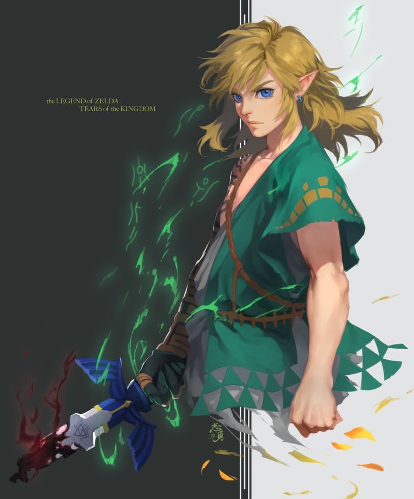 link (the legend of zelda and 1 more) drawn by shiyuu_(shiyu)