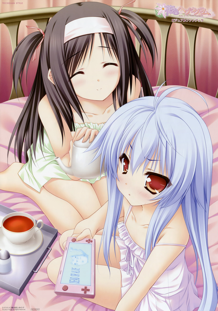 fujisaki mao and wakamura izuki (hanairo heptagram) drawn by moekibara_fumitake