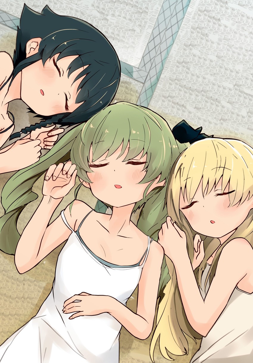 anchovy, pepperoni, and carpaccio (girls und panzer) drawn by barashiya