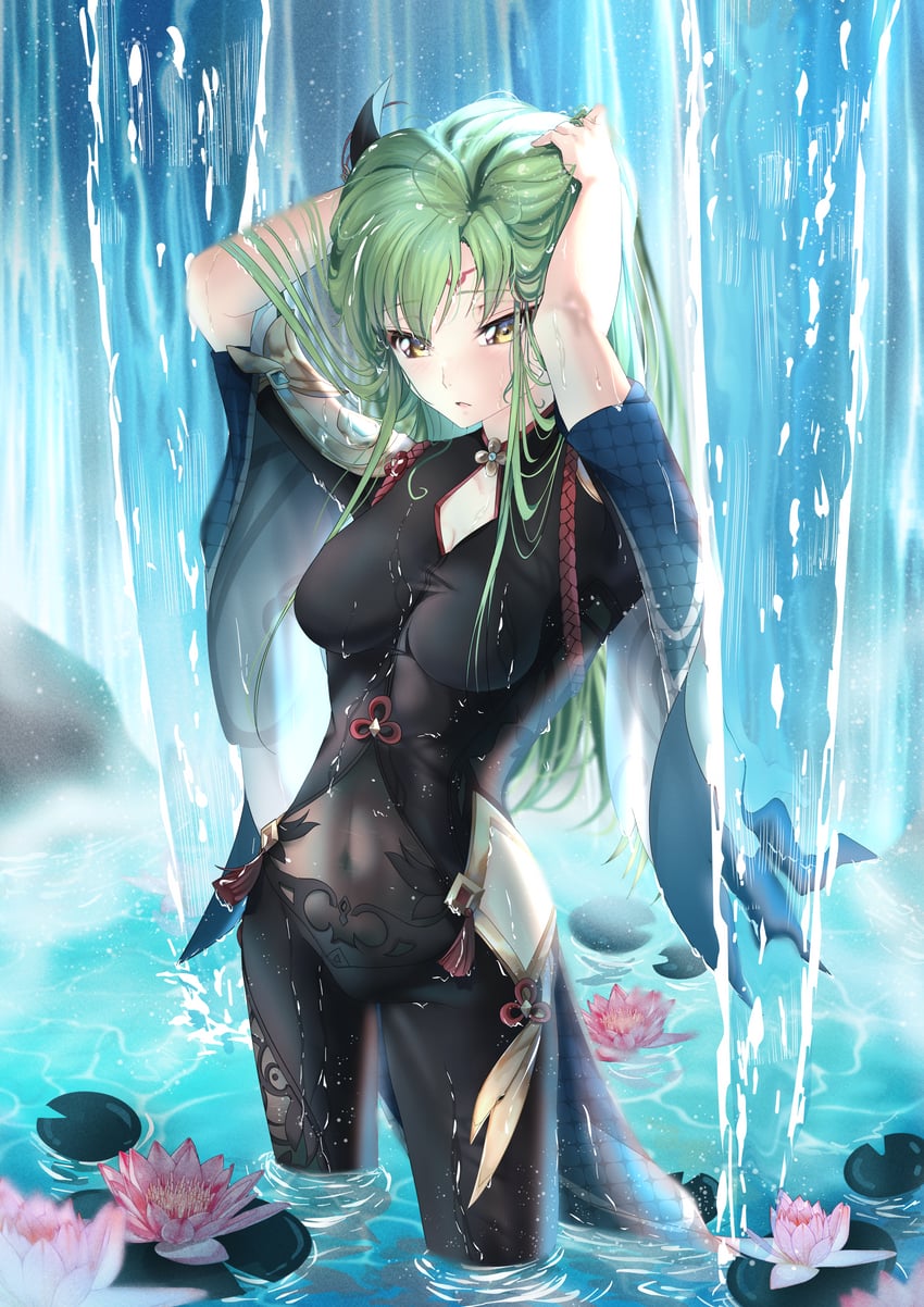shenhe and c.c. (genshin impact and 1 more) drawn by budgiepon