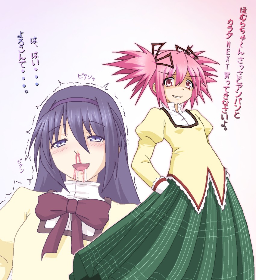 akemi homura and kaname madoka (mahou shoujo madoka magica) drawn by hayashiya_zankurou