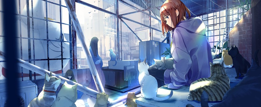 original drawn by maeda_mic