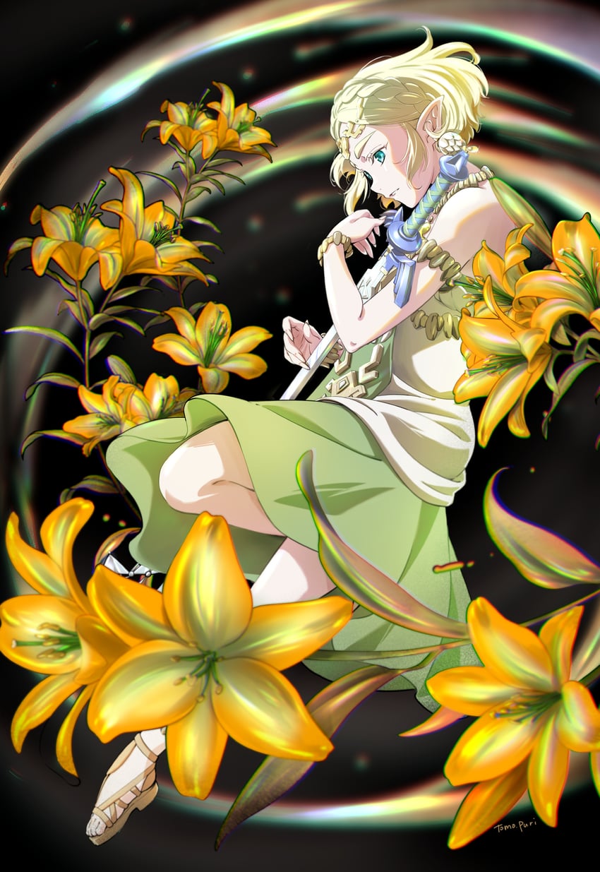 princess zelda (the legend of zelda and 1 more) drawn by tomo.puri