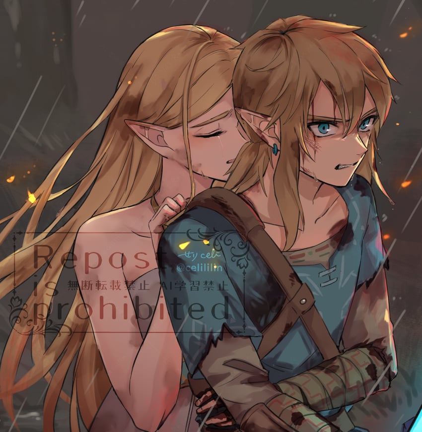 link and princess zelda (the legend of zelda and 1 more) drawn by seri_(yuukasakura)