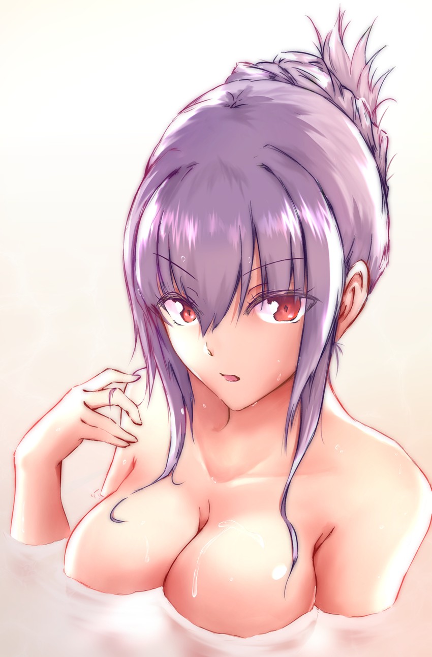 scathach (fate and 1 more) drawn by tim_(timmethod)