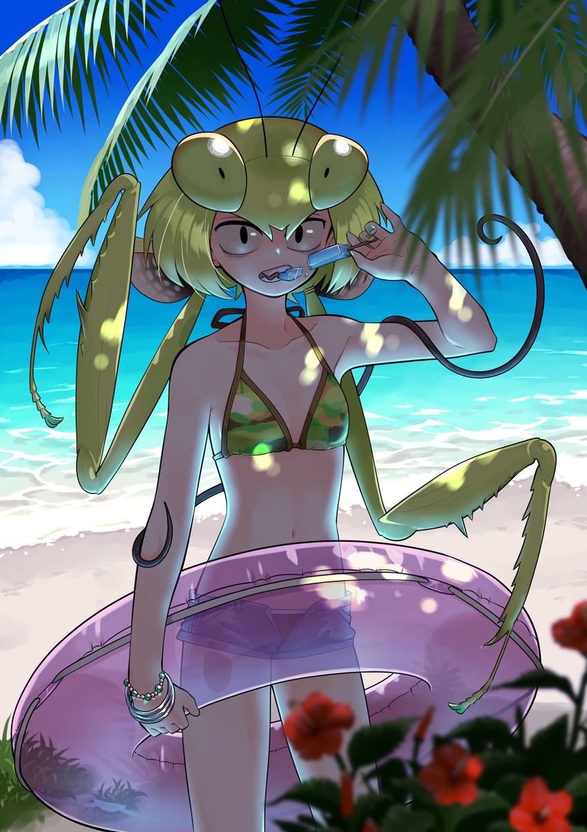 mantis akiyama (original and 1 more) drawn by evolvingmonkey