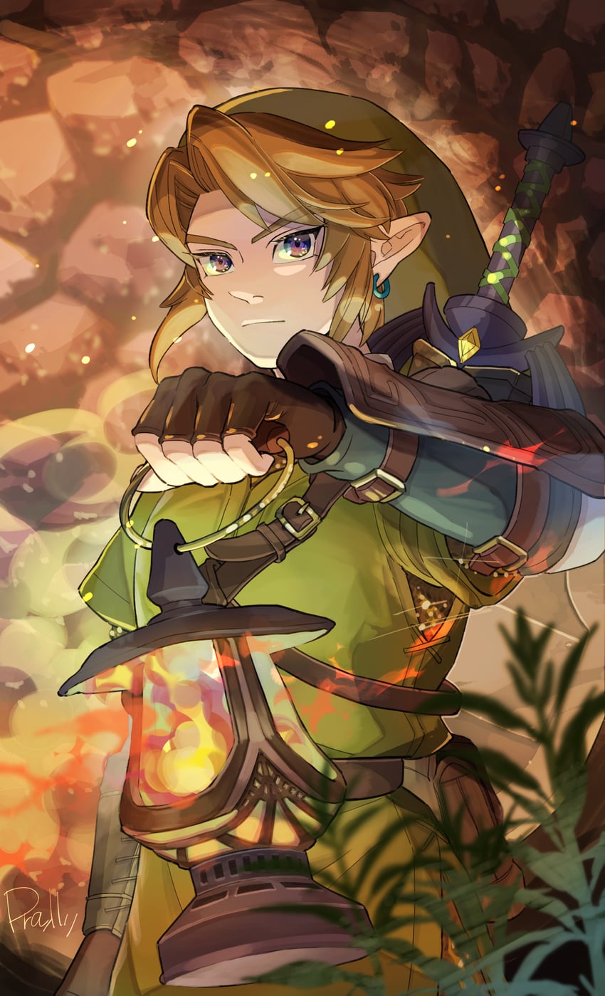link (the legend of zelda and 1 more) drawn by pra_11