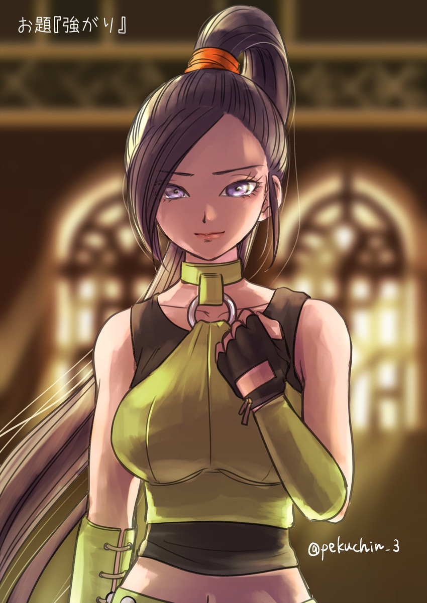 martina (dragon quest and 1 more) drawn by pekuchin_(pekuchin_3)