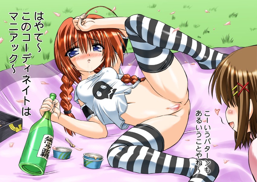 yagami hayate and vita (lyrical nanoha and 2 more) drawn by marui