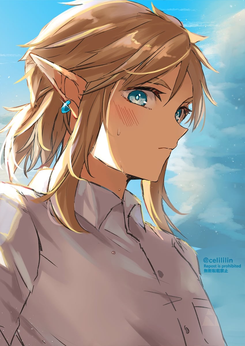 link (the legend of zelda and 1 more) drawn by seri_(yuukasakura)