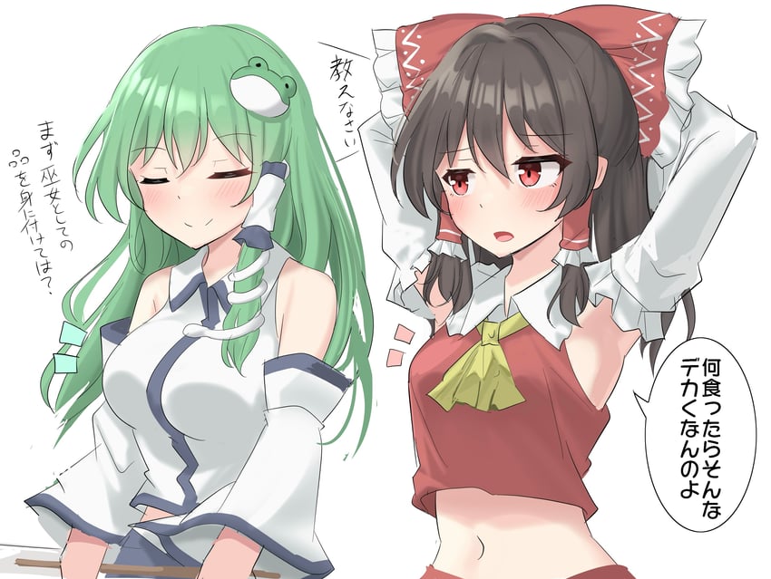 hakurei reimu and kochiya sanae (touhou) drawn by youyume-kun