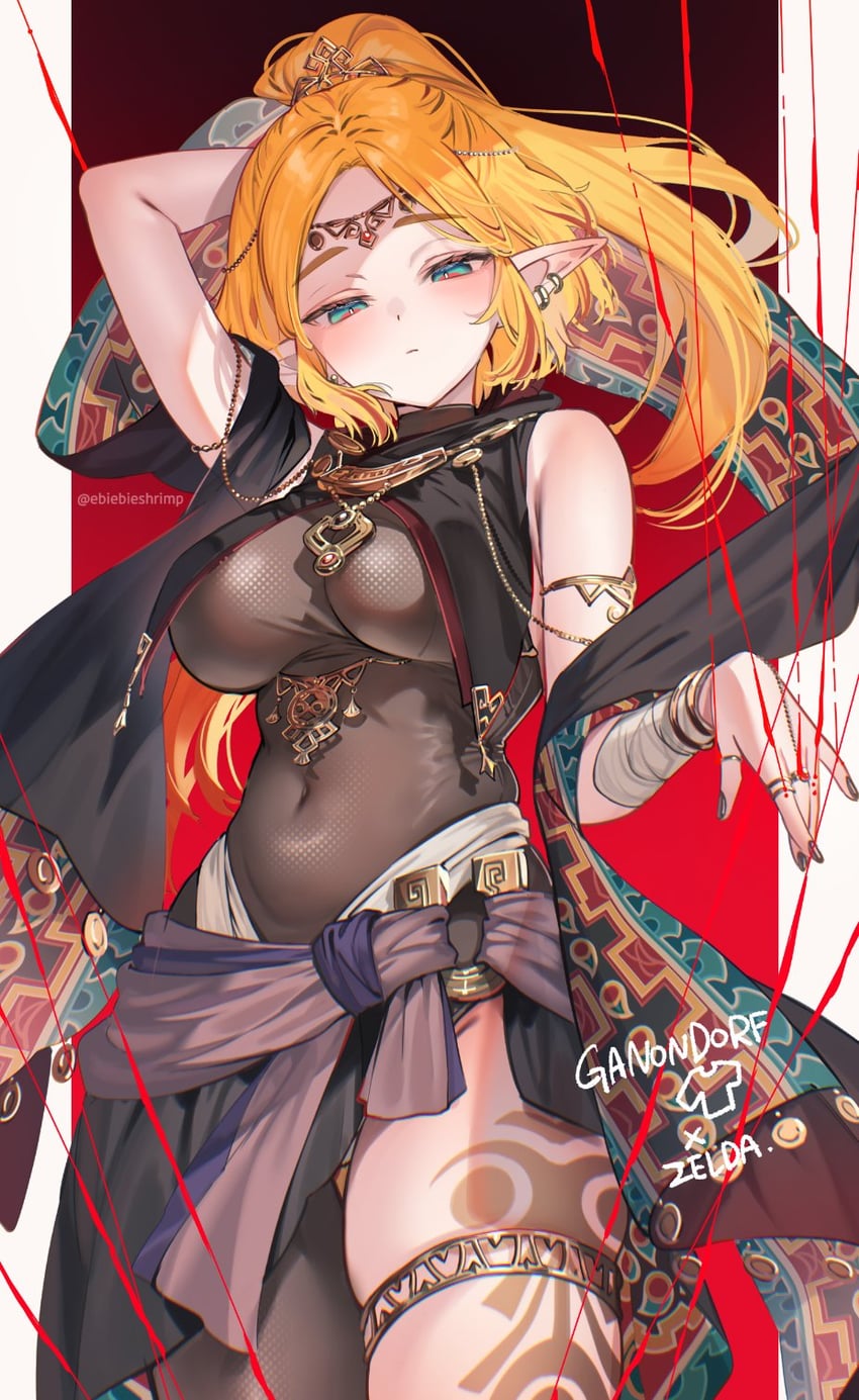 princess zelda (the legend of zelda and 1 more) drawn by shuri_(84k)