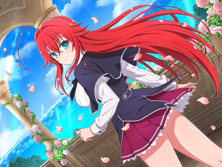 rias gremory (senran kagura and 3 more) drawn by yaegashi_nan