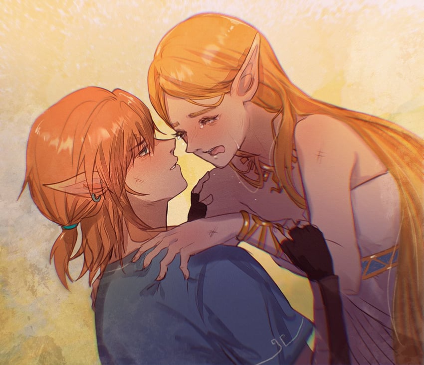 link and princess zelda (the legend of zelda and 1 more) drawn by sera_(serappi)