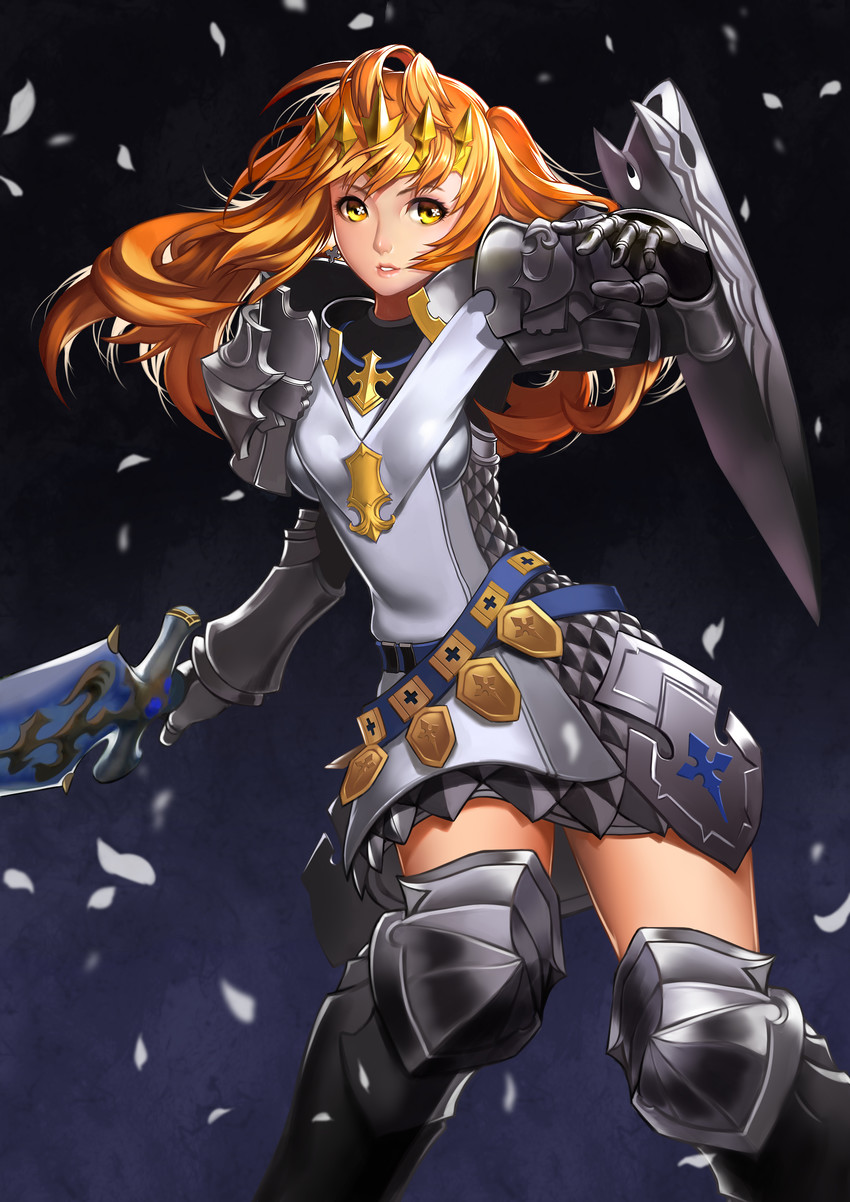 warrior of light and paladin (final fantasy and 1 more) drawn by niangsansansan