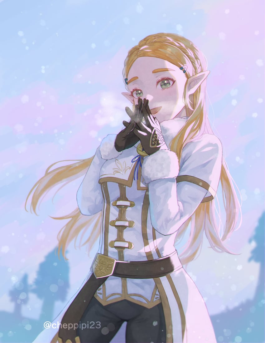princess zelda (the legend of zelda and 1 more) drawn by yayoi_(chepiiii23)