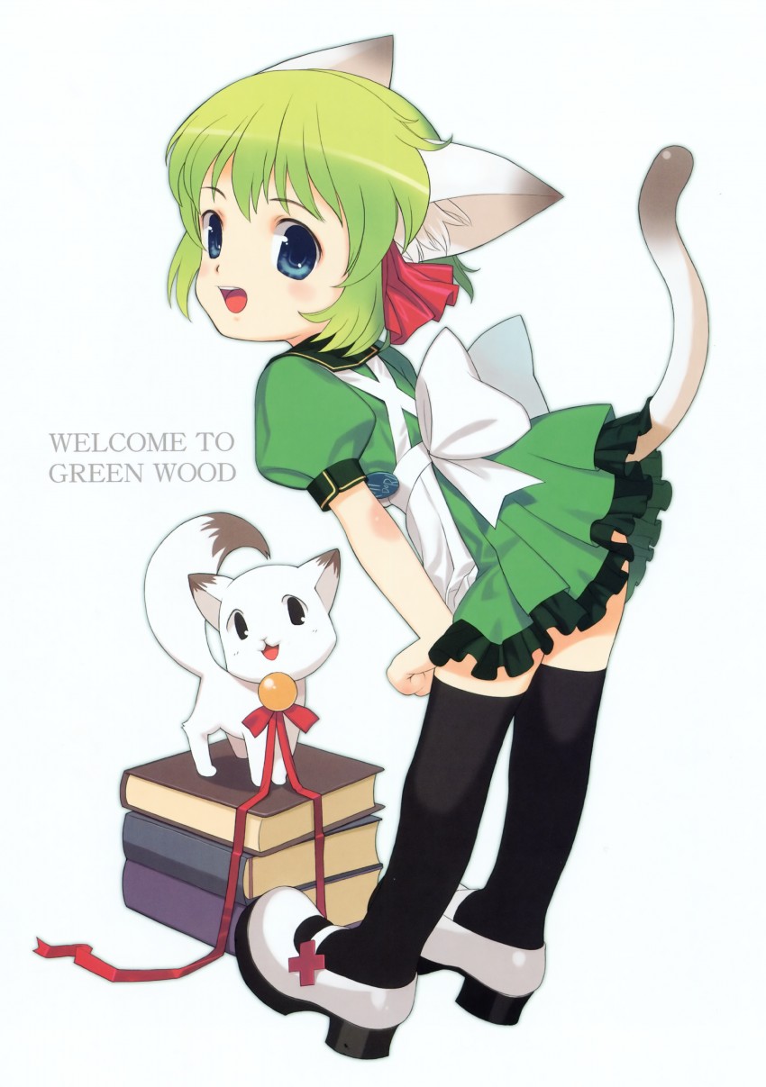 midori (original) drawn by greenwood and mibu_natsuki
