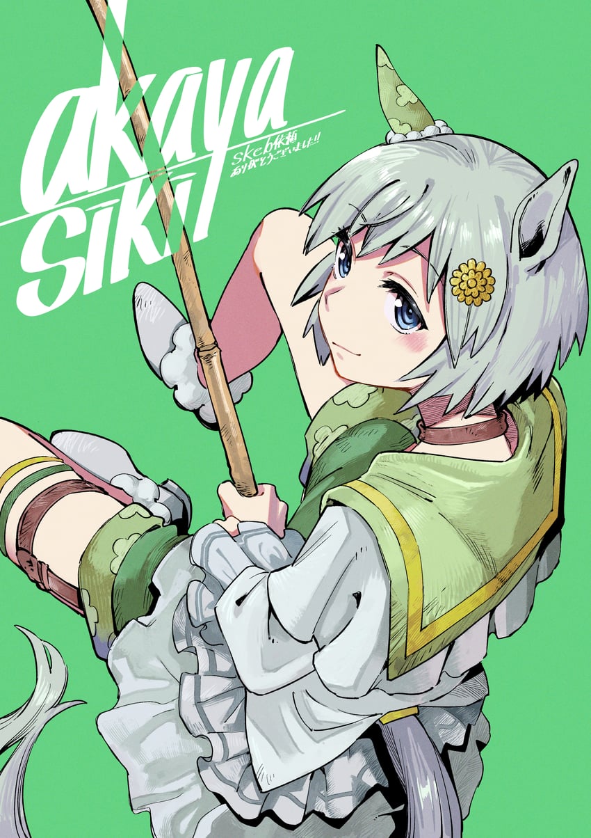 seiun sky (umamusume) drawn by akaya_shiki