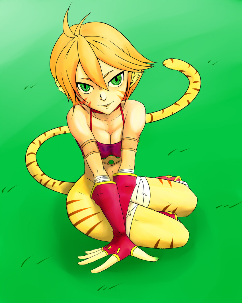 katt (breath of fire and 1 more) drawn by hoteeei