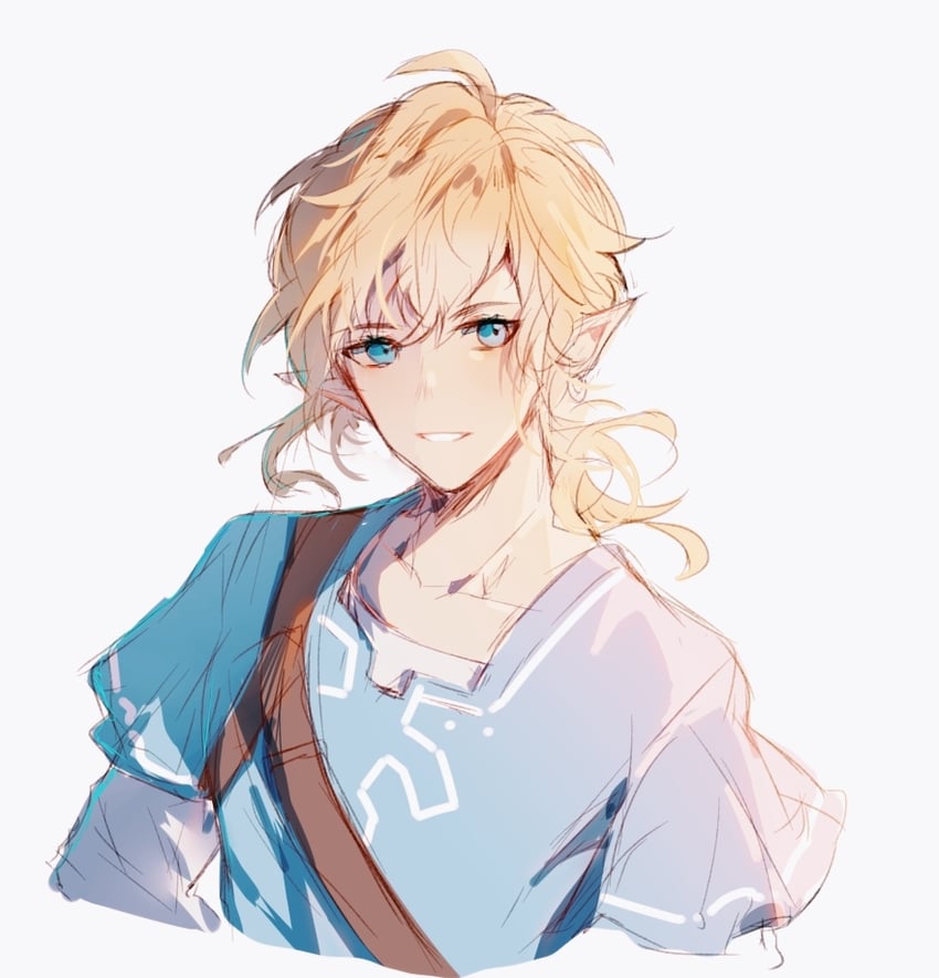 link (the legend of zelda and 1 more) drawn by nash5