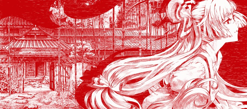 fujiwara no mokou (touhou and 1 more) drawn by cosmic_(crownclowncosmic)