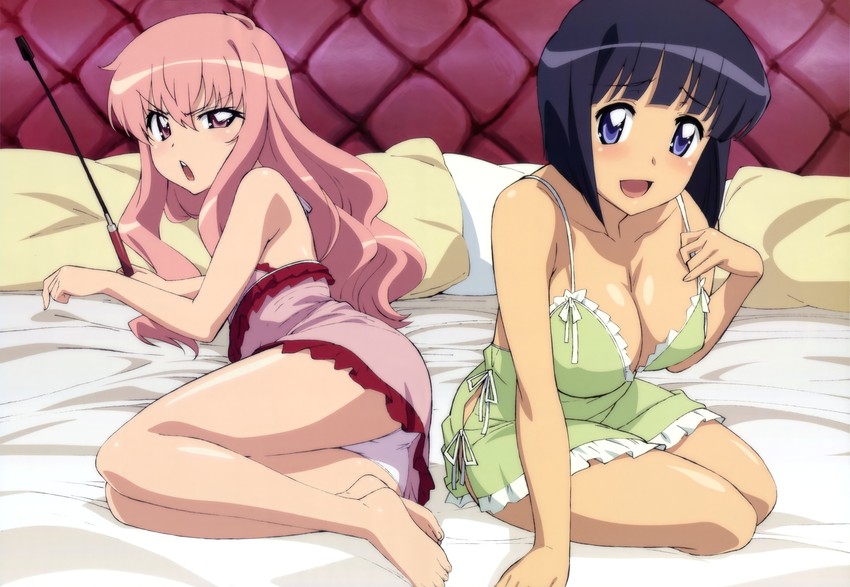 louise francoise le blanc de la valliere and siesta (zero no tsukaima and 1 more) drawn by fujii_masahiro