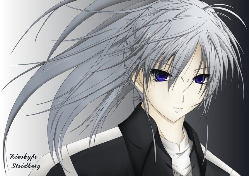 riesbyfe stridberg (tsukihime and 1 more) drawn by yashiro-san