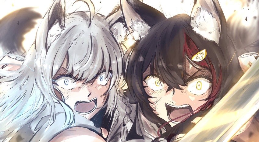 shirakami fubuki and ookami mio (hololive and 1 more) drawn by kohiiro