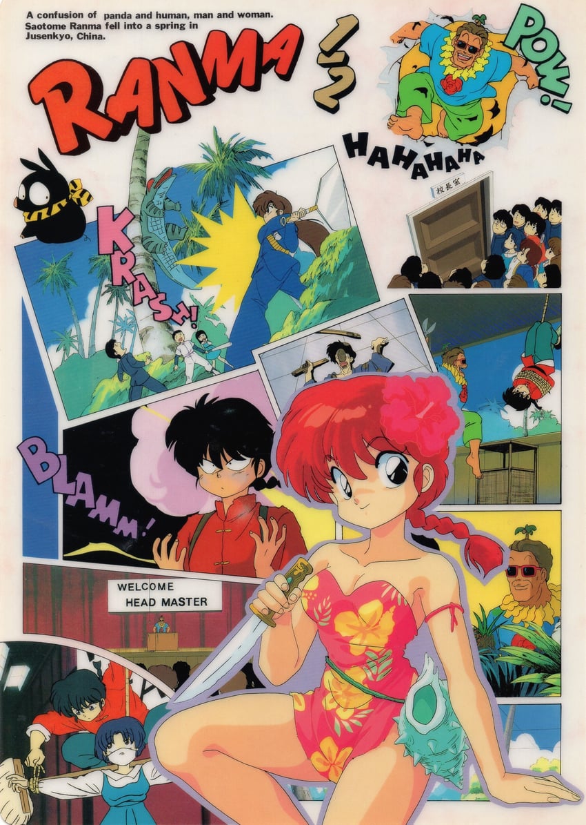 ranma-chan, tendou akane, saotome ranma, p-chan, hibiki ryouga, and 3 more (ranma 1/2)