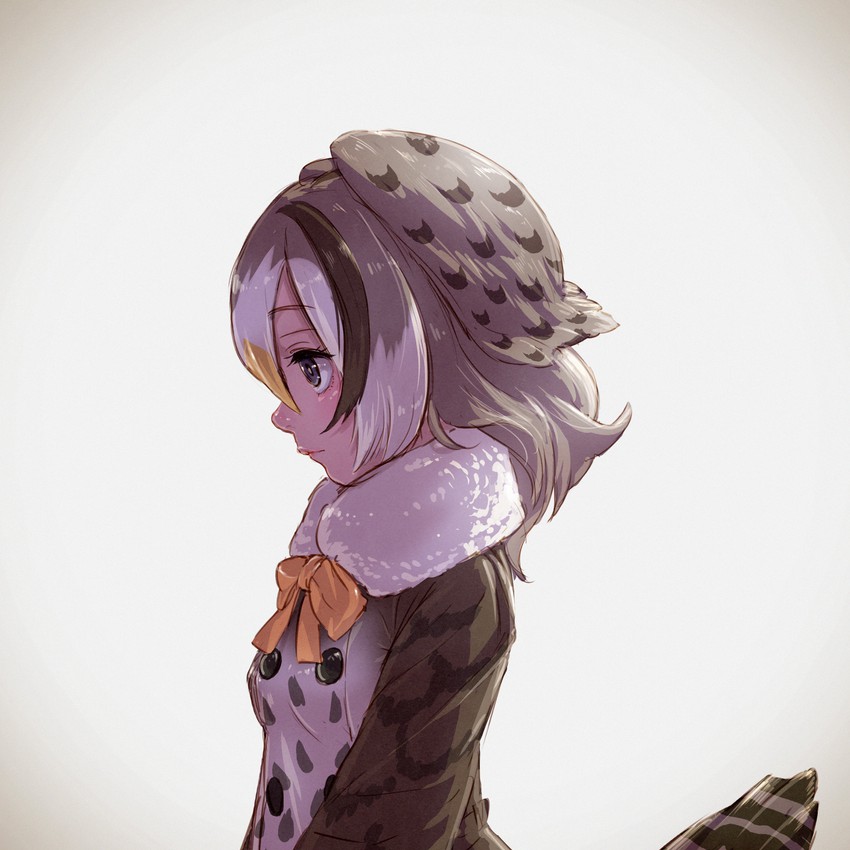 kyuushuu owl (kemono friends) drawn by takami_masahiro