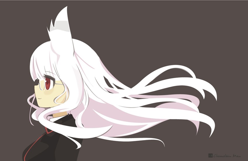 heidimarie w. schnaufer (world witches series and 1 more) drawn by chameleon_man_(three)