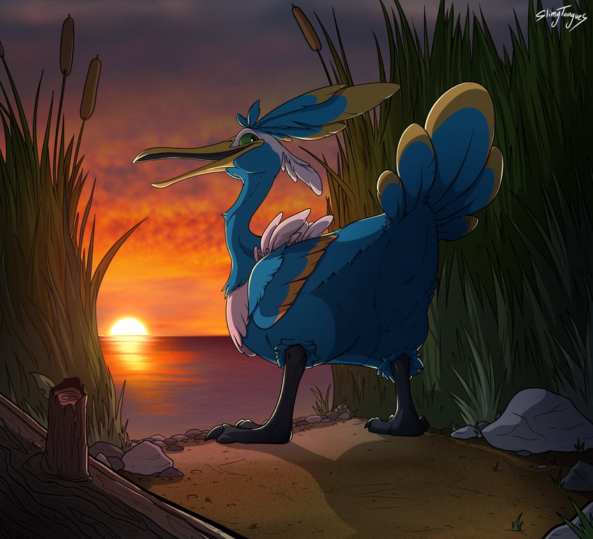 cramorant (pokemon) drawn by slimytongues