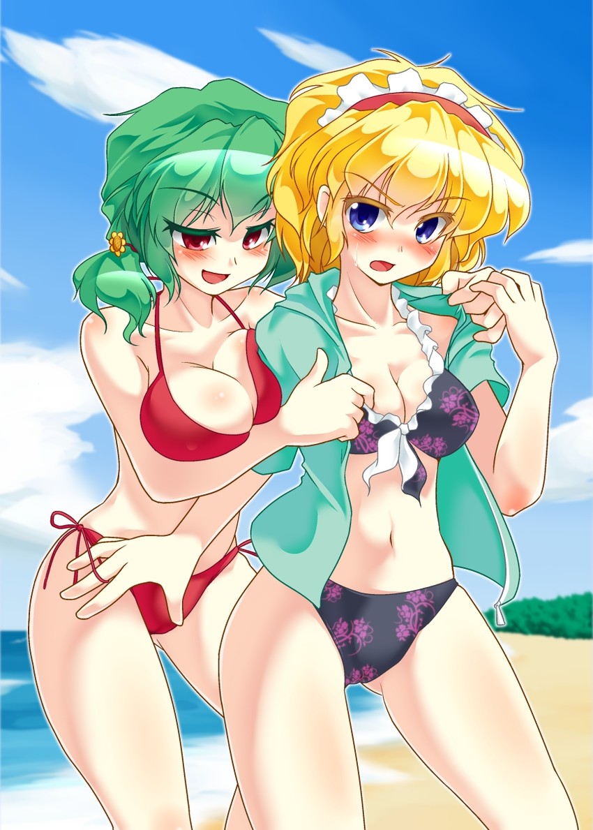 alice margatroid and kazami yuuka (touhou) drawn by tama_home