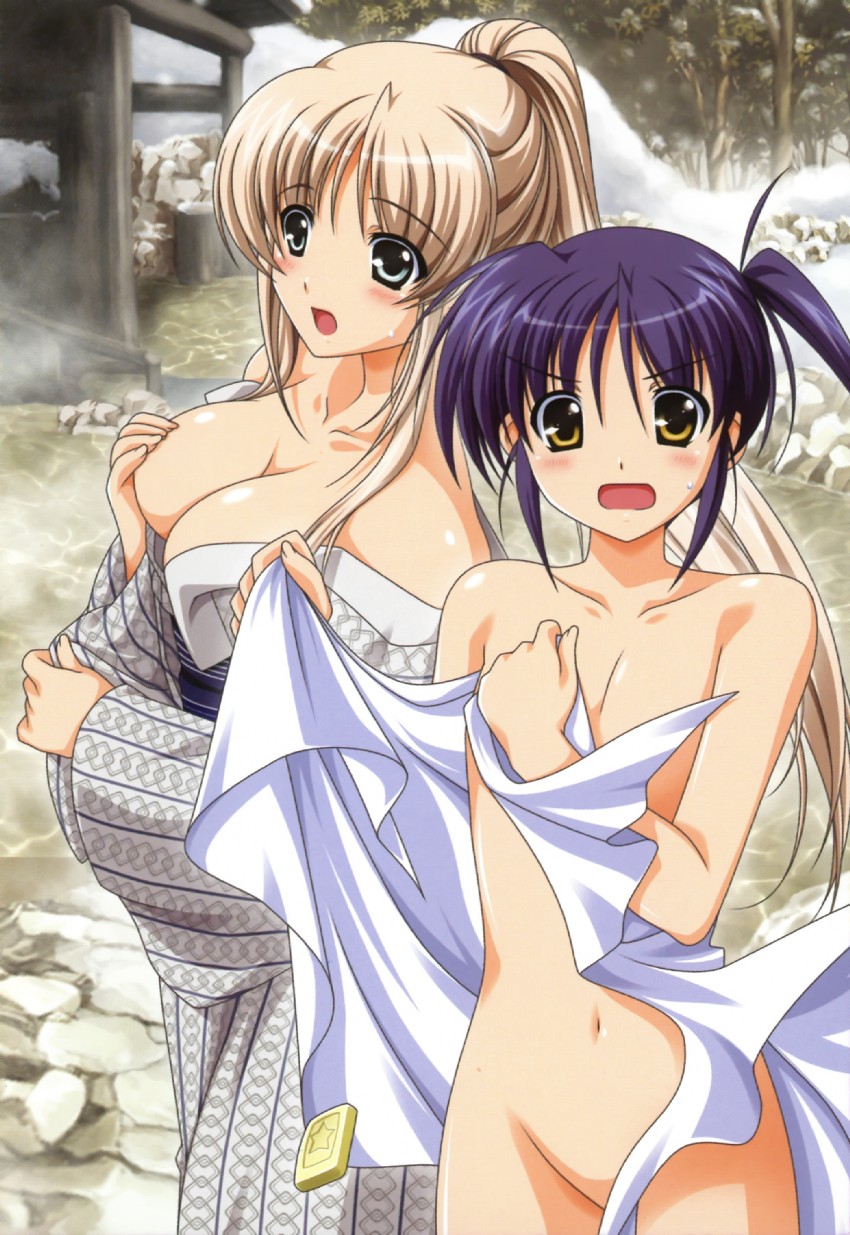 lily-strosek and isis egret (lyrical nanoha and 1 more) drawn by higa_yukari