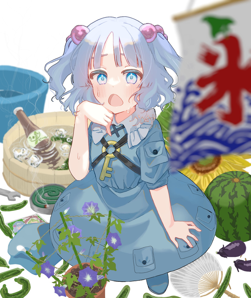 kawashiro nitori and kagiyama hina (touhou) drawn by haru_(unfu3432)