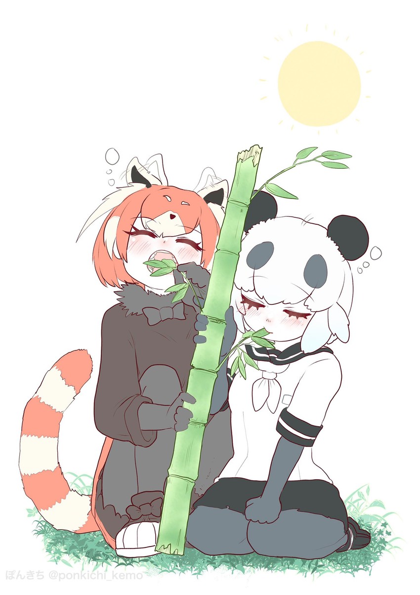 red panda and giant panda (kemono friends and 1 more) drawn by pokichi_(ponkichi_kemo)